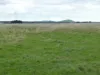 Lot 1/Sec 417 & 429 Furner Road, Millicent, SA 5280-Image