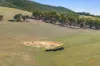 Lot 1  Youngs Lane, Tooborac, Vic 3522-Image