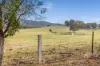 Lot 1  Youngs Lane, Tooborac, Vic 3522-Image