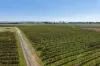Lot 10 Chardonnay Lane, Cowra, NSW 2794-Image