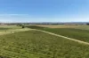 Lot 10 Chardonnay Lane, Cowra, NSW 2794-Image