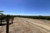 Lot 10 Chardonnay Lane, Cowra, NSW 2794-Image
