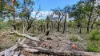 Lot 10 Jenkins Road, Bullsbrook, WA 6084-Image