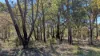 Lot 10 Jenkins Road, Bullsbrook, WA 6084-Image