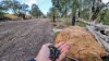 Lot 10 Jenkins Road, Bullsbrook, WA 6084-Image