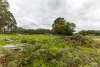 Lot 102 Pemberton-Northcliffe Road, Pemberton, WA 6260-Image