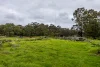 Lot 102 Pemberton-Northcliffe Road, Pemberton, WA 6260-Image
