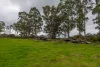 Lot 102 Pemberton-Northcliffe Road, Pemberton, WA 6260-Image