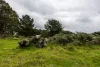 Lot 102 Pemberton-Northcliffe Road, Pemberton, WA 6260-Image