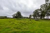 Lot 102 Pemberton-Northcliffe Road, Pemberton, WA 6260-Image