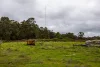 Lot 102 Pemberton-Northcliffe Road, Pemberton, WA 6260-Image