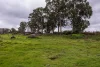 Lot 102 Pemberton-Northcliffe Road, Pemberton, WA 6260-Image