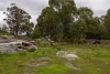Lot 102 Pemberton-Northcliffe Road, Pemberton, WA 6260-Image