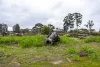 Lot 102 Pemberton-Northcliffe Road, Pemberton, WA 6260-Image