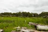 Lot 102 Pemberton-Northcliffe Road, Pemberton, WA 6260-Image