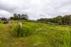 Lot 102 Pemberton-Northcliffe Road, Pemberton, WA 6260-Image