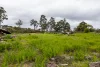 Lot 102 Pemberton-Northcliffe Road, Pemberton, WA 6260-Image