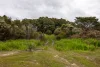 Lot 102 Pemberton-Northcliffe Road, Pemberton, WA 6260-Image
