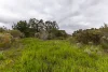Lot 102 Pemberton-Northcliffe Road, Pemberton, WA 6260-Image
