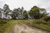 Lot 102 Pemberton-Northcliffe Road, Pemberton, WA 6260-Image