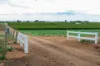Lot 11 Anderson Road, Loxton, SA 5333-Image