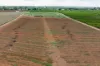 Lot 11 Anderson Road, Loxton, SA 5333-Image