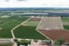 Lot 11 Anderson Road, Loxton, SA 5333-Image
