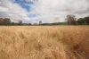 Lot 114 Kerwee Road, Eidsvold QLD 4627-Image