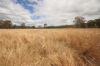 Lot 114 Kerwee Road, Eidsvold QLD 4627-Image