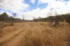 Lot 114 Kerwee Road, Eidsvold QLD 4627-Image
