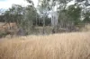 Lot 114 Kerwee Road, Eidsvold QLD 4627-Image