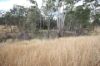 Lot 114 Kerwee Road, Eidsvold QLD 4627-Image
