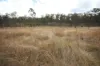 Lot 114 Kerwee Road, Eidsvold QLD 4627-Image