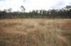 Lot 114 Kerwee Road, Eidsvold QLD 4627-Image