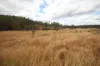 Lot 114 Kerwee Road, Eidsvold QLD 4627-Image
