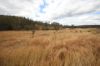 Lot 114 Kerwee Road, Eidsvold QLD 4627-Image
