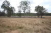 Lot 114 Kerwee Road, Eidsvold QLD 4627-Image