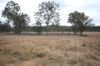 Lot 114 Kerwee Road, Eidsvold QLD 4627-Image