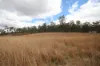 Lot 114 Kerwee Road, Eidsvold QLD 4627-Image