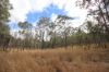 Lot 114 Kerwee Road, Eidsvold QLD 4627-Image