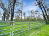 Lot 119, Ellangowan NSW 2470-Image