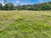 Lot 119, Ellangowan NSW 2470-Image