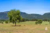 Lot 12 Redmanvale Road, Jerrys Plains, NSW 2330-Image