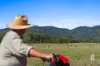 Lot 12 Redmanvale Road, Jerrys Plains, NSW 2330-Image