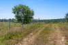 Lot 12 Redmanvale Road, Jerrys Plains, NSW 2330-Image