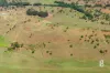 Lot 12 Redmanvale Road, Jerrys Plains, NSW 2330-Image