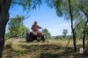 Lot 12 Redmanvale Road, Jerrys Plains, NSW 2330-Image