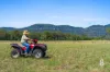 Lot 12 Redmanvale Road, Jerrys Plains, NSW 2330-Image