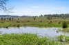 Lot 12 Redmanvale Road, Jerrys Plains, NSW 2330-Image