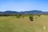 Lot 12 Redmanvale Road, Jerrys Plains, NSW 2330-Image